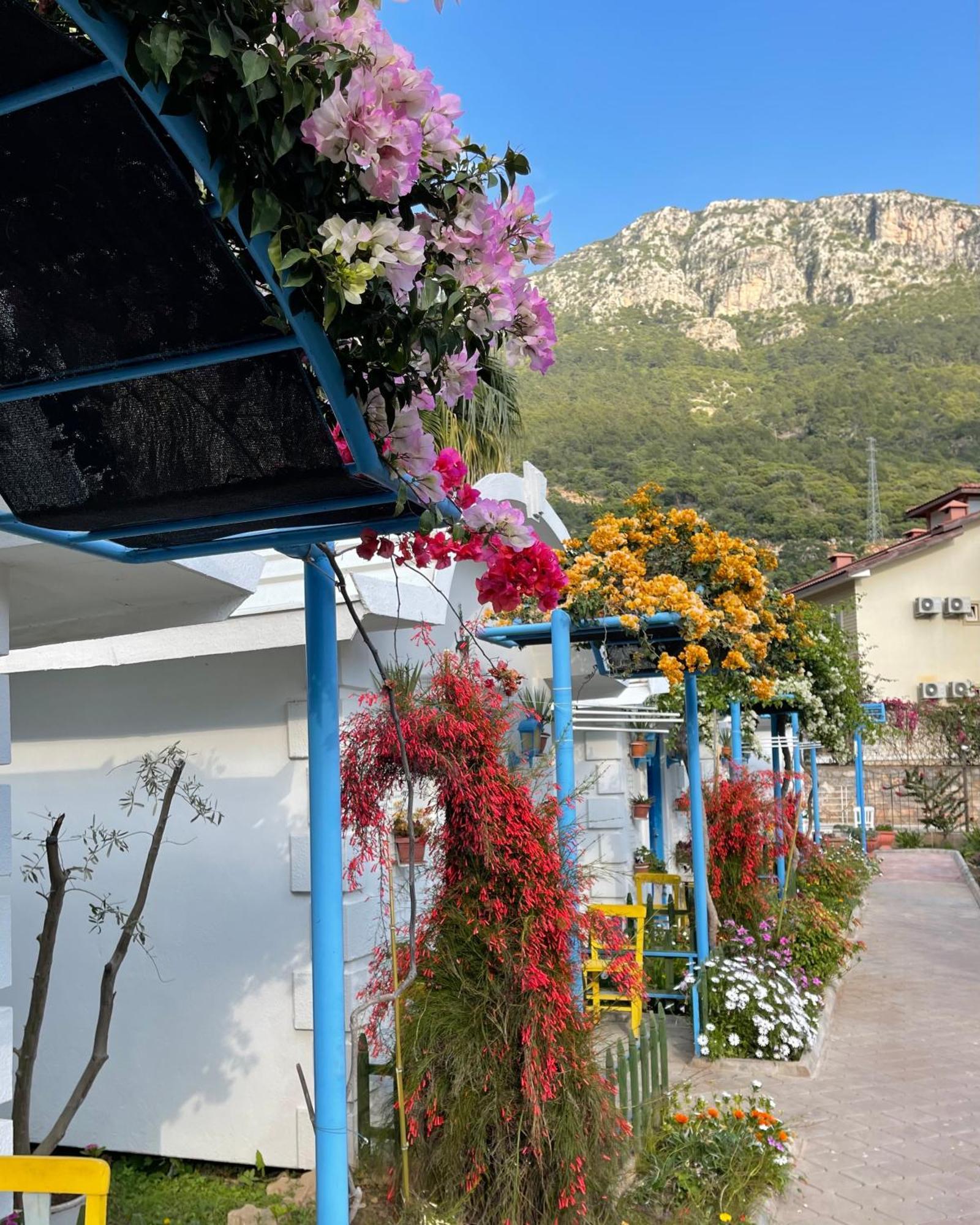 Sunmed Lodge Oludeniz Exterior foto